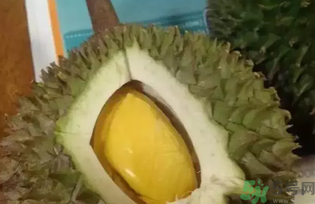 榴蓮吃多了會(huì)怎么樣？榴蓮吃多了好嗎？