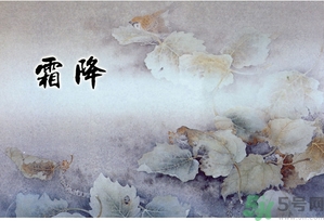 霜降為什么要吃柿子？霜降吃柿子有什么好處？