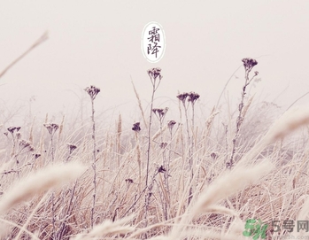 霜降為什么要吃柿子？霜降吃柿子有什么好處？