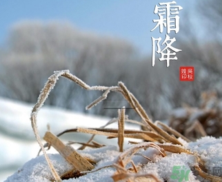 霜降為什么要吃柿子？霜降吃柿子有什么好處？