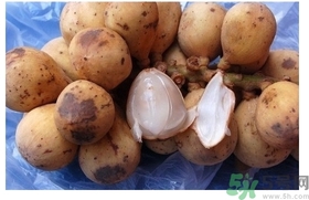 椰色果的功效作用 椰色果怎么吃？