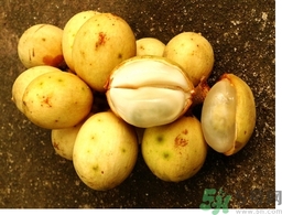 椰色果的功效作用 椰色果怎么吃？