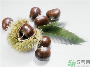 老人能喝板栗酒嗎？板栗怎么泡酒呢？
