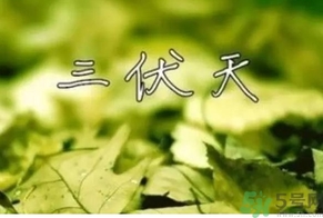 三伏天可以理發(fā)嗎？三伏天為什么不能理發(fā)？