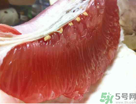 剝開的柚子能放冰箱嗎？柚子肉可以放冰箱嗎？