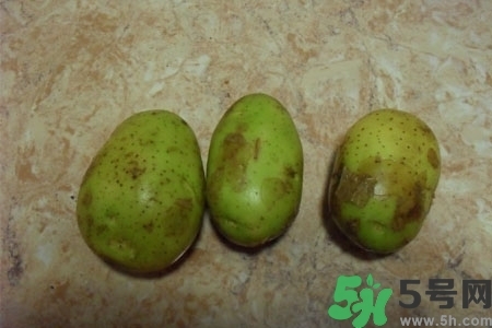 土豆發(fā)綠還能吃嗎？土豆發(fā)綠皮削皮后能吃嗎？