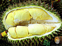 月經(jīng)期間可以吃榴蓮嗎？來月經(jīng)可以吃榴蓮嗎？