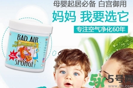 美國(guó)bad air sponge空氣凈化劑多少錢？