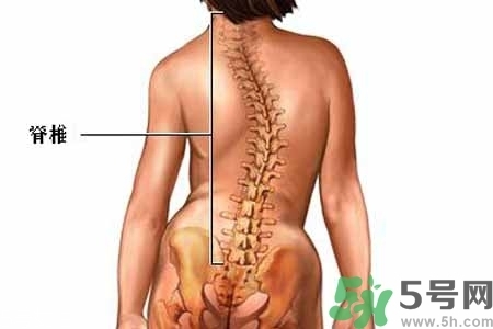 僵直性脊椎炎的癥狀有哪些？怎樣預防僵直性脊椎炎？