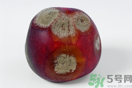 水果發(fā)霉了可以吃嗎？發(fā)霉的水果對(duì)人體有什么危害？