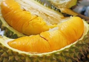 小孩能吃榴蓮嗎？榴蓮小孩能吃嗎？