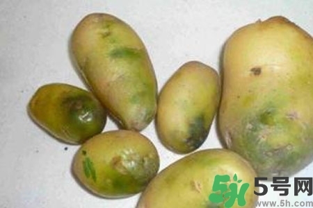 土豆發(fā)綠還能吃嗎？土豆發(fā)綠皮削皮后能吃嗎？