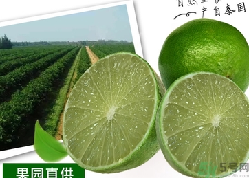 泰國(guó)檸檬怎么吃？泰國(guó)檸檬的功效作用