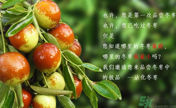晚上吃棗子會胖嗎？晚上吃新鮮棗子會胖嗎？