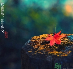 秋分做什么運動好？秋分運動注意事項