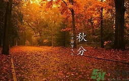 秋分做什么運動好？秋分運動注意事項