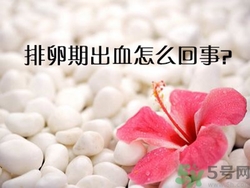 排卵期不懷孕什么原因？排卵期出血