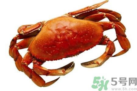 10月份吃螃蟹好嗎？10月份吃什么螃蟹？
