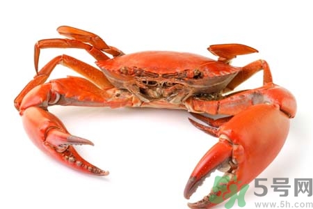 10月吃陽(yáng)澄湖大閘蟹好嗎？大閘蟹怎么做好吃？