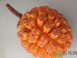 山菠蘿怎么吃？山菠蘿的功效與作用