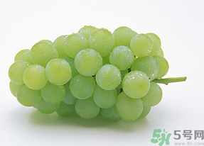新鮮葡萄能放冰箱嗎？新鮮葡萄的保存方法