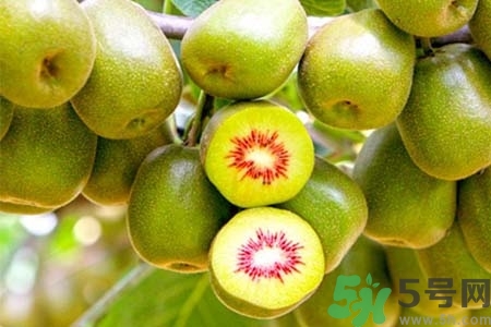 獼猴桃紅心黃心綠心哪個(gè)最好？黃心獼猴桃和紅心獼猴桃的區(qū)別
