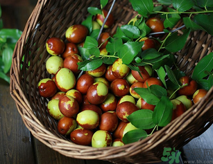 新鮮紅棗補(bǔ)血嗎？吃新鮮紅棗補(bǔ)血嗎？