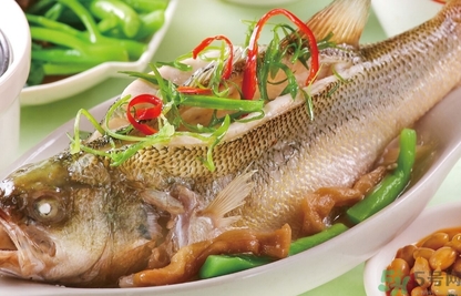 鱸魚是發(fā)物嗎？手術后可以吃鱸魚嗎？