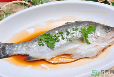 鱸魚是發(fā)物嗎？手術后可以吃鱸魚嗎？