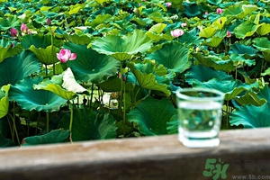 小蘇打能治癌癥嗎？蘇打水可以治癌癥嗎？