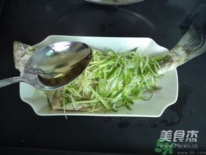 鱸魚蒸多長時(shí)間？鱸魚怎么蒸？