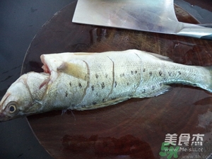 鱸魚蒸多長時(shí)間？鱸魚怎么蒸？