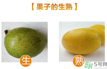 蛋黃果多少錢一斤？蛋黃果什么時候成熟？