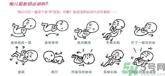 胎動怎么數(shù)最正確？胎動有什么規(guī)律？