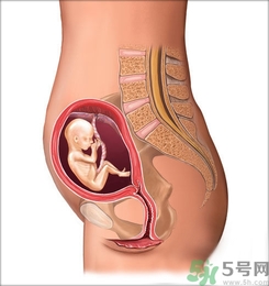胎動頻繁正常嗎?胎動頻繁是什么原因？