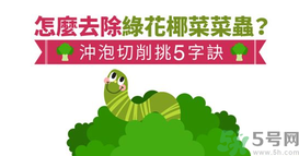 西蘭花里有蟲子怎么辦？花椰菜里面好多蟲怎么辦？