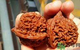 核桃長蟲了還能吃嗎？核桃長蟲子怎么處理？