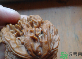 核桃長蟲了還能吃嗎？核桃長蟲子怎么處理？