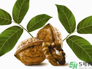 核桃一天吃幾個合適？核桃一天吃幾個最好？