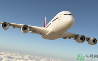 懷孕兩個月可以坐飛機嗎？懷孕兩個月坐飛機注意事項