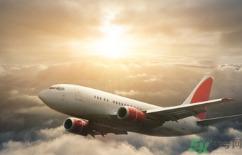 懷孕兩個月可以坐飛機嗎？懷孕兩個月坐飛機注意事項