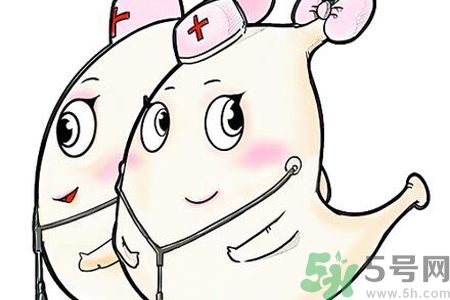胃會餓小嗎？經(jīng)常肚子餓對胃有什么影響？