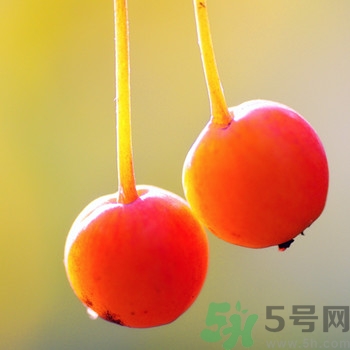 海棠果孕婦能吃嗎？海棠果的功效與作用