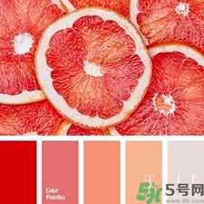 西柚色口紅的牌子哪款好？西柚色口紅有哪些牌子