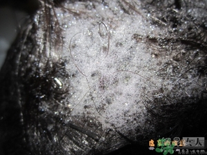 淳萃水舞櫻花洗發(fā)水好用嗎？淳萃水舞櫻花洗發(fā)水多少錢？