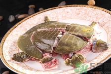 甲魚怎么殺？甲魚怎么處理？