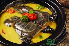甲魚怎么殺？甲魚怎么處理？