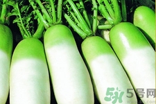 秋天吃白蘿卜好嗎？吃白蘿卜有什么好處和壞處？