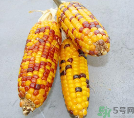 彩色玉米是轉(zhuǎn)基因嗎？彩色玉米能吃嗎？