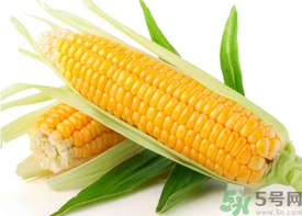 新鮮玉米怎么保存？鮮玉米怎么保存？